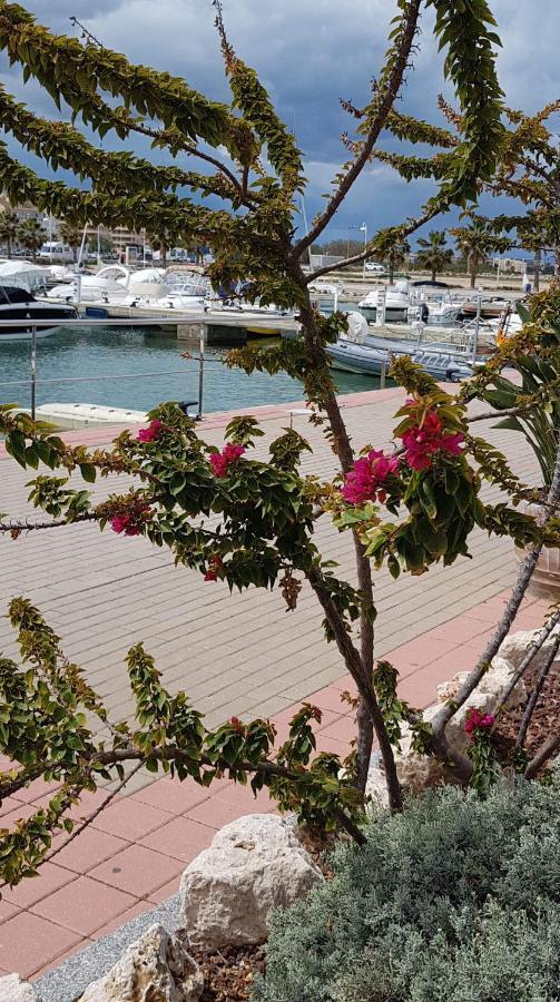 Chez Berna - Se Alquila Habitacion Denia Zewnętrze zdjęcie