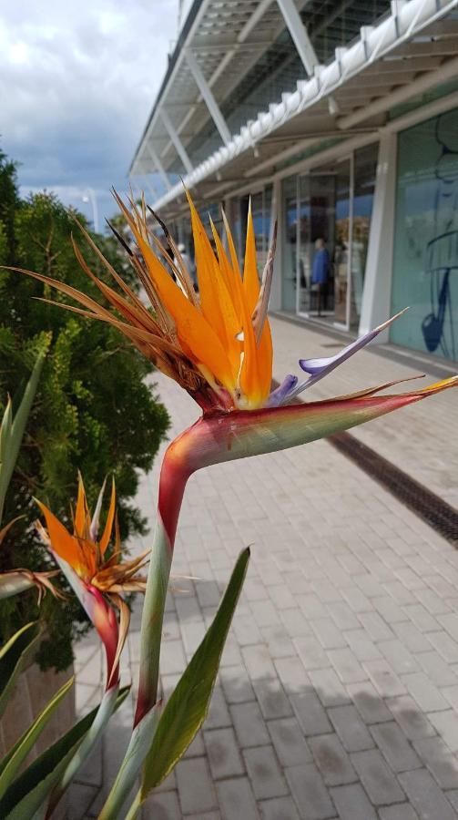 Chez Berna - Se Alquila Habitacion Denia Zewnętrze zdjęcie